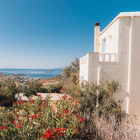 Villa Il Paradiso Andros Gavrio Exterior foto