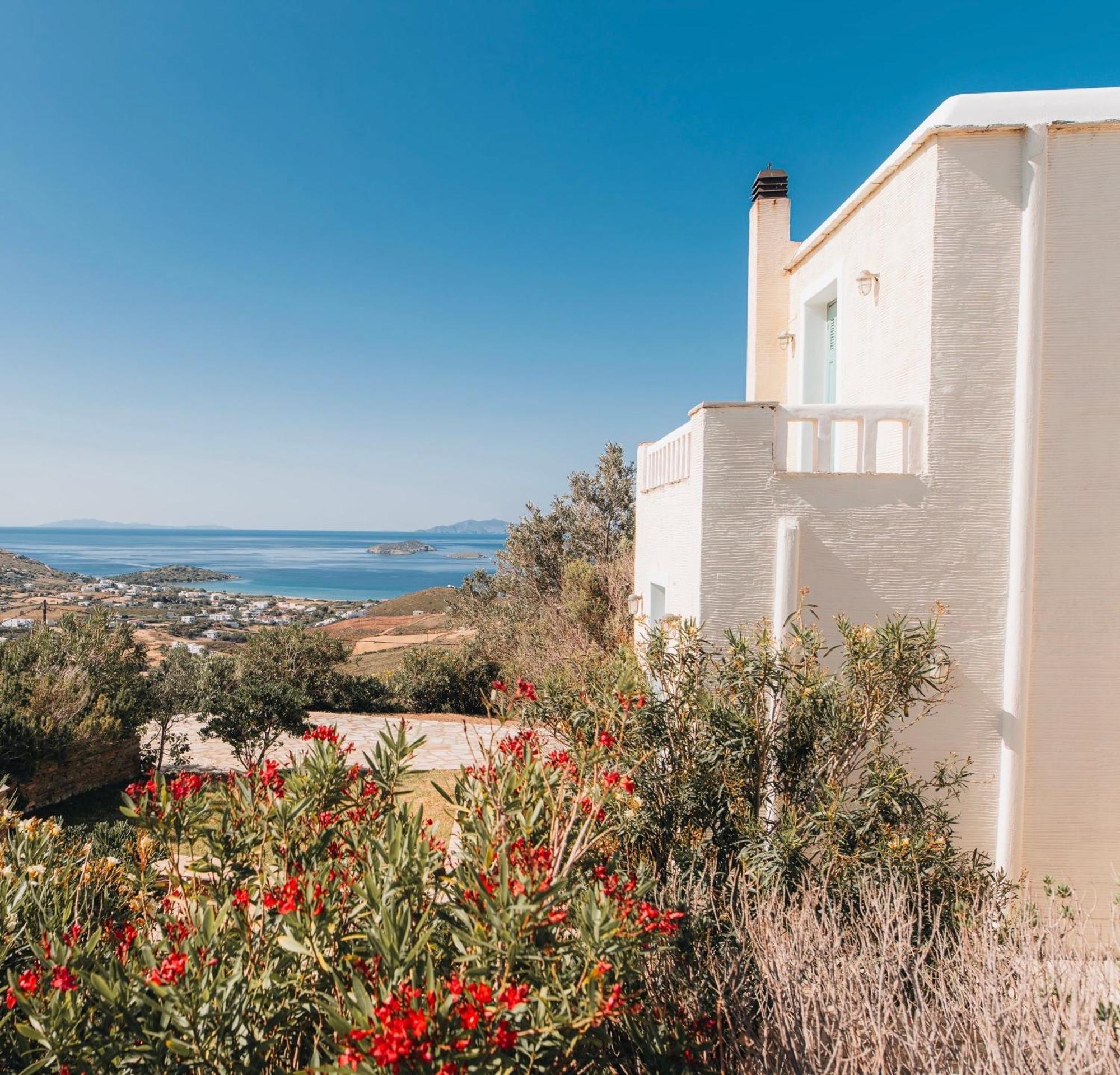 Villa Il Paradiso Andros Gavrio Exterior foto